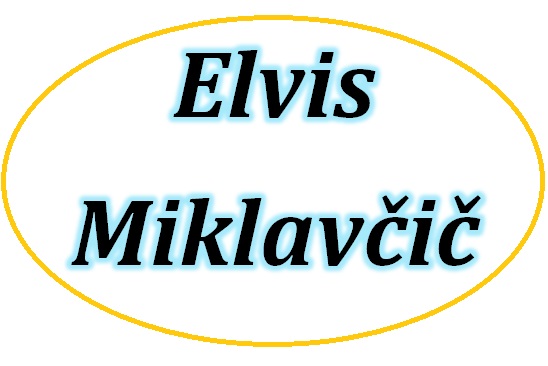 AVTOPREVOZNIŠTVO IN POSREDNIŠTVO ELVIS MIKLAVČIČ S.P.